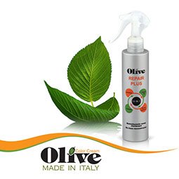 olive hairrepair